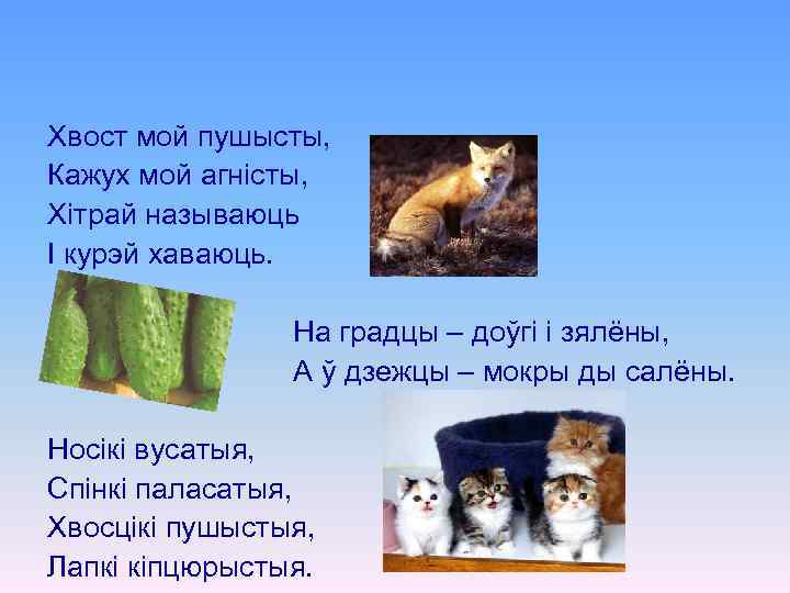Хвост мой пушысты, Кажух мой агністы, Хітрай называюць І курэй хаваюць. На градцы –