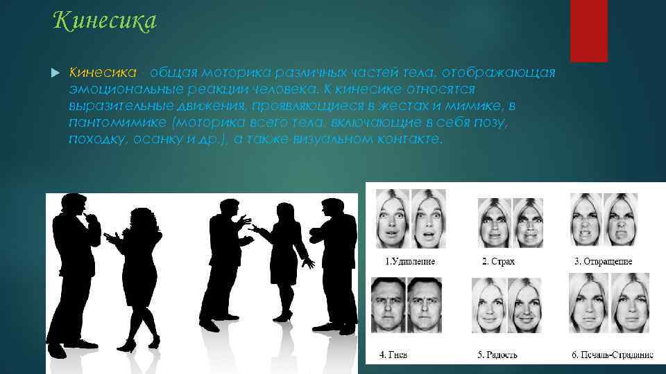 Кинесика - общая моторика различных частей тела, отображающая эмоциональные реакции человека. К кинесике относятся