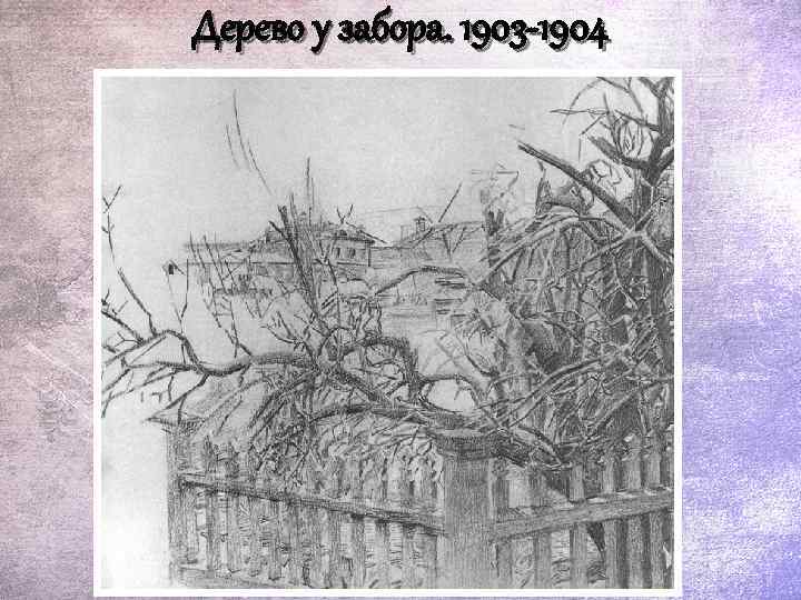 Дерево у забора. 1903 -1904 