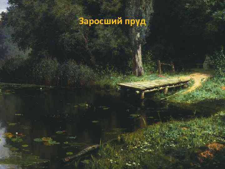 Заросший пруд 