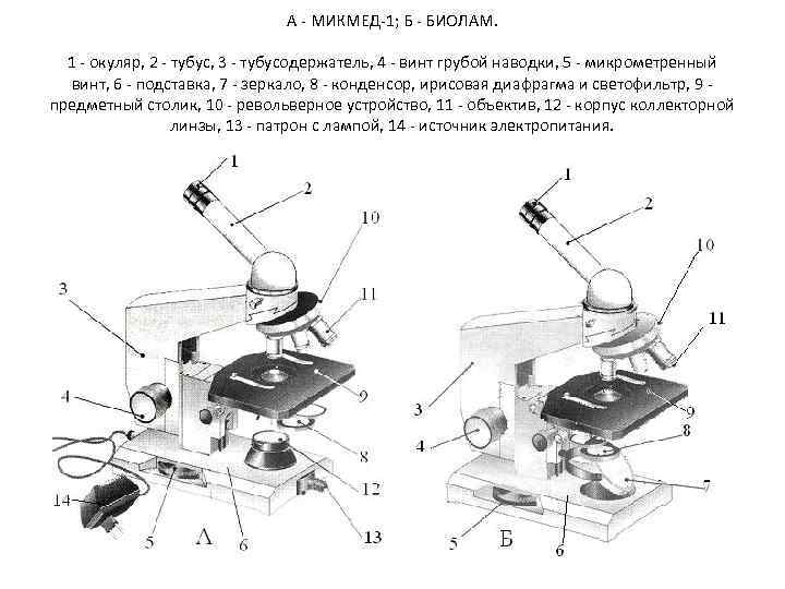 А - МИКМЕД-1; Б - БИОЛАМ. 1 - окуляр, 2 - тубус, 3 -