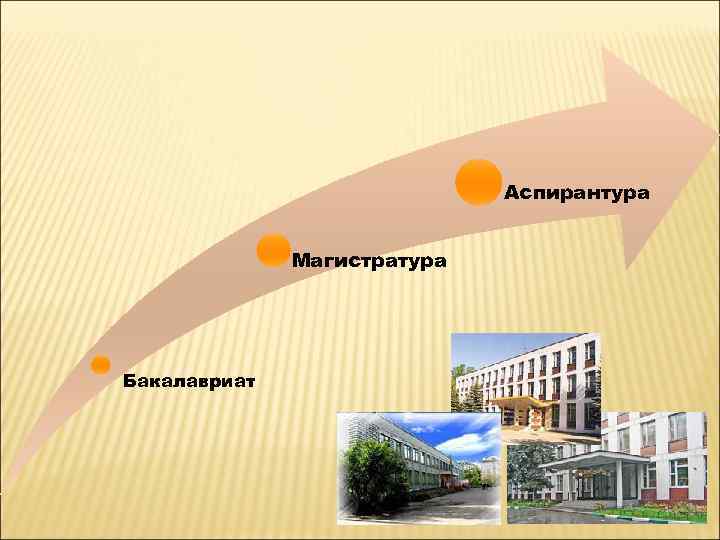 Аспирантура Магистратура Бакалавриат 