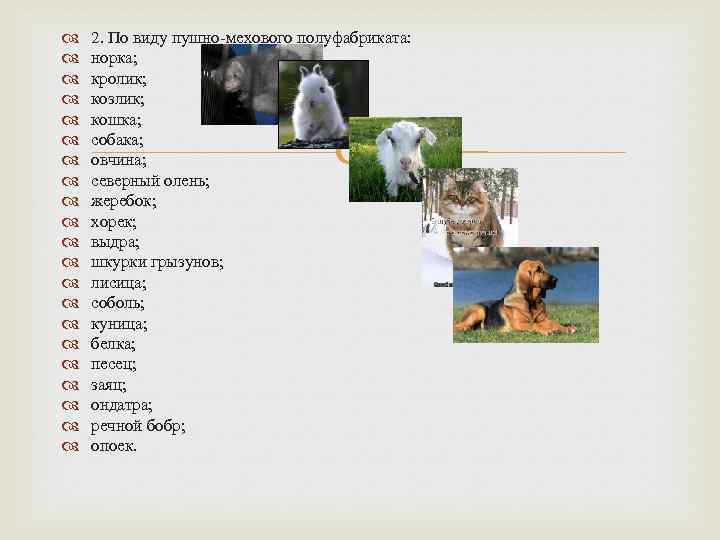  2. По виду пушно-мехового полуфабриката: норка; кролик; козлик; кошка; собака; овчина; северный олень;