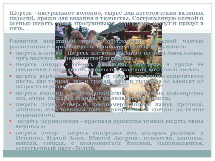 Шерсть - натуральное волокно, сырье для изготовления валяных изделий, пряжи для вязания и ткачества.