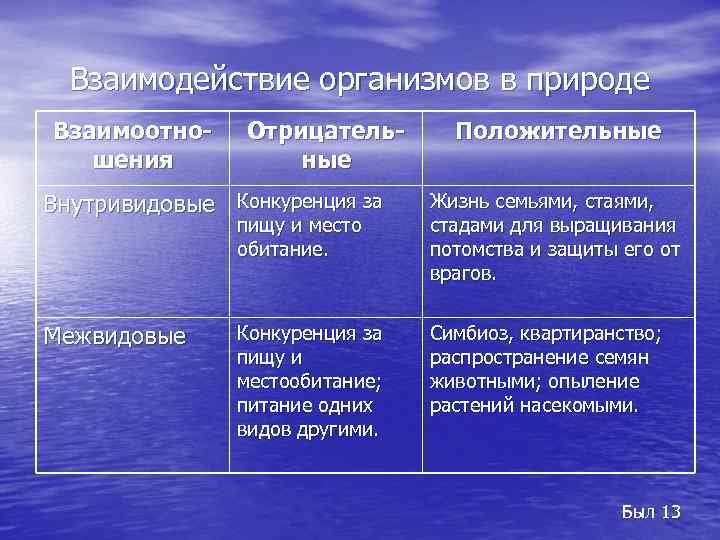 Взаимодействие организмов в природе Взаимоотношения Отрицательные Положительные Внутривидовые Конкуренция за Жизнь семьями, стаями, стадами