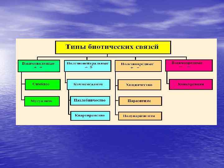 Типы биотических связей схема