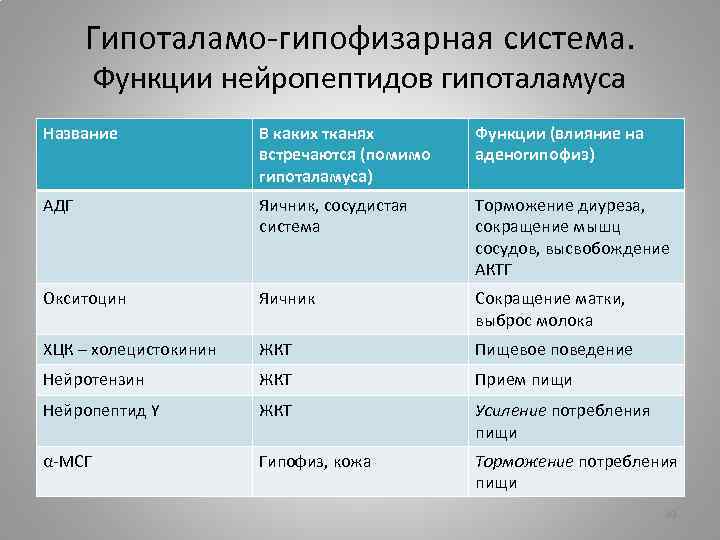 Гипоталамо-гипофизарная система. Функции нейропептидов гипоталамуса Название В каких тканях встречаются (помимо гипоталамуса) Функции (влияние