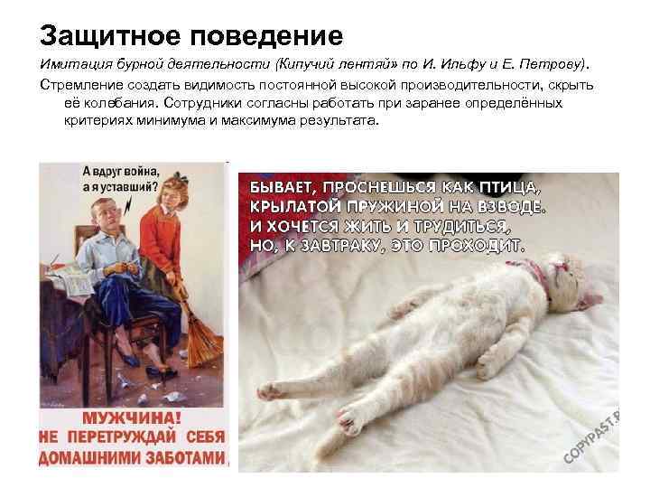 Защитное поведение Имитация бурной деятельности (Кипучий лентяй» по И. Ильфу и Е. Петрову). Стремление