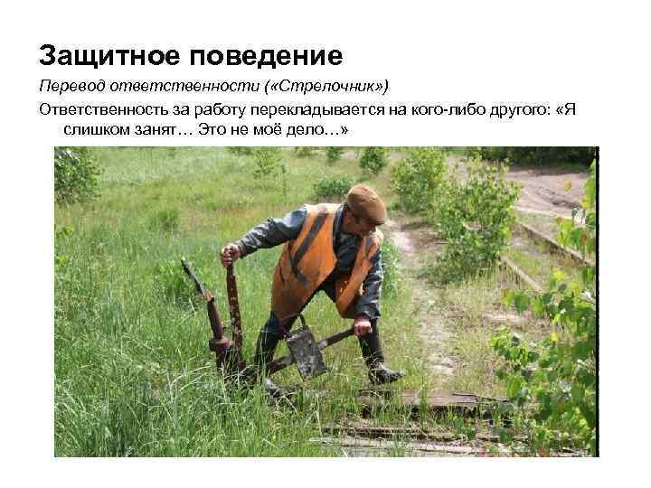 Защитное поведение Перевод ответственности ( «Стрелочник» ) Ответственность за работу перекладывается на кого-либо другого: