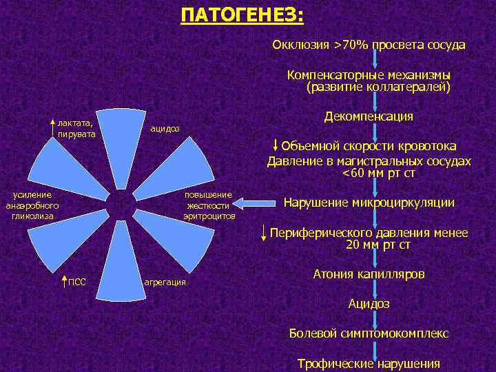 ПАТОГЕНЕЗ: Окклюзия >70% просвета сосуда Компенсаторные механизмы (развитие коллатералей) лактата, пирувата усиление анаэробного гликолиза