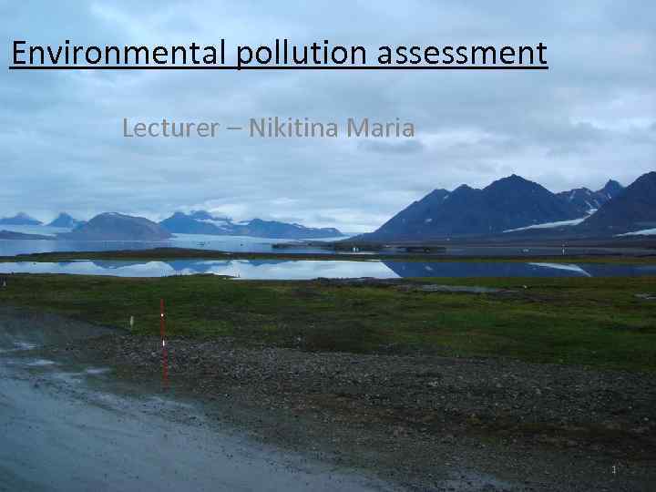 Environmental pollution assessment Lecturer – Nikitina Maria 1 