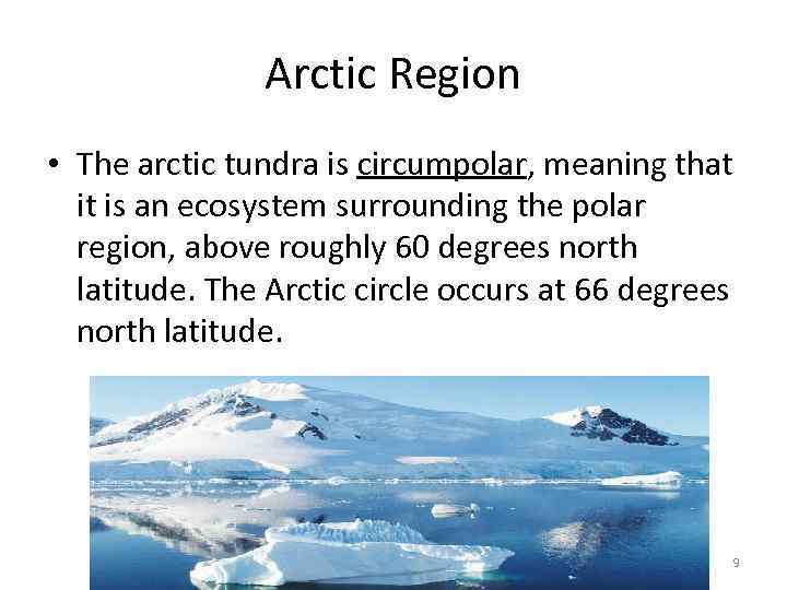 Arctic Region • The arctic tundra is circumpolar, meaning that it is an ecosystem