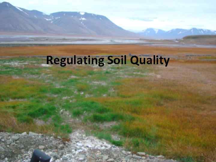 Regulating Soil Quality 1 
