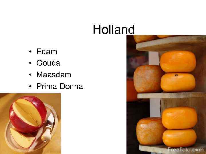 Holland • • Edam Gouda Maasdam Prima Donna 