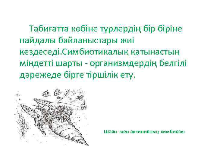  Табиғатта көбіне түрлердің біріне пайдалы байланыстары жиі кездеседі. Симбиотикалық қатынастың міндетті шарты -