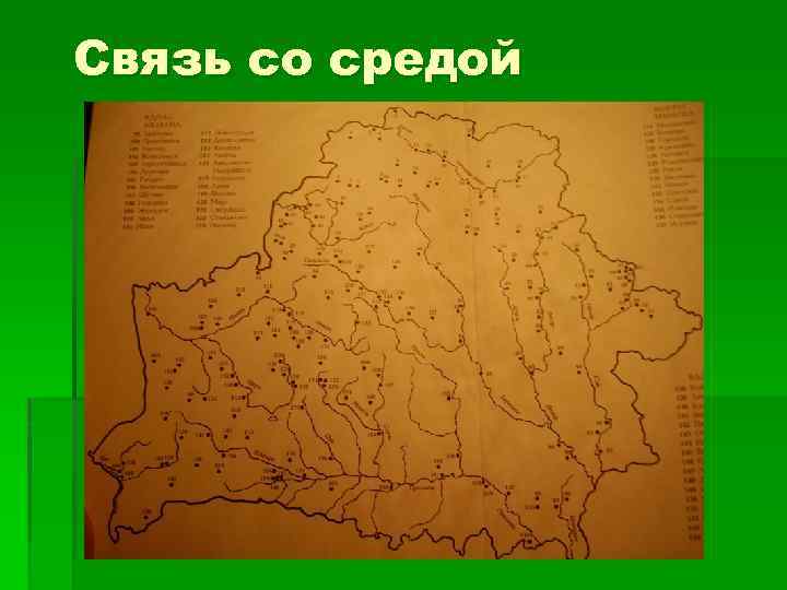 Связь со средой 