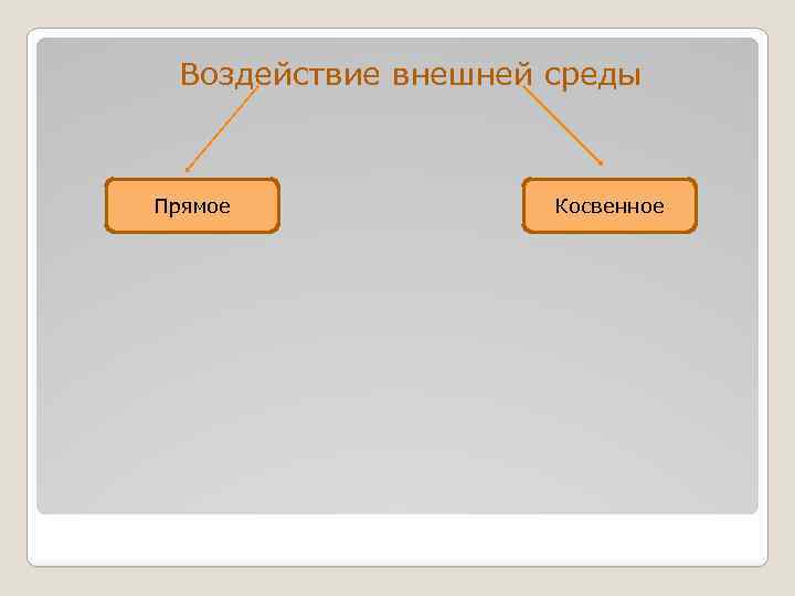  Воздействие внешней среды Прямое Косвенное 