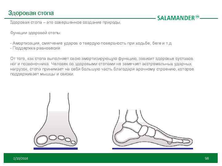 Здоровая стопа – это совершенное создание природы. Функции здоровой стопы: - Амортизация, cмягчение ударов
