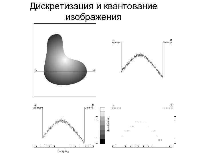 Дискретизация и квантование изображения 