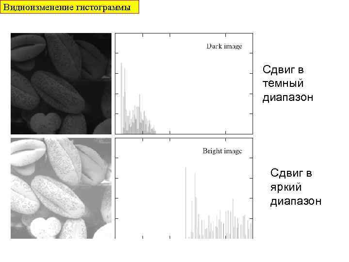 Видноизменение гистограммы Сдвиг в темный диапазон Сдвиг в яркий диапазон 