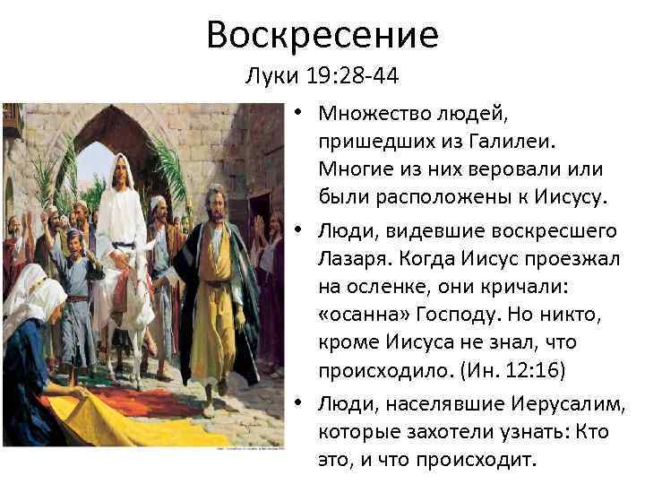 Воскресение Луки 19: 28 -44 • Множество людей, пришедших из Галилеи. Многие из них