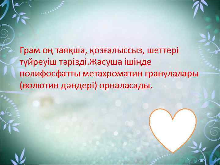 Грам оң таяқша, қозғалыссыз, шеттері түйреуіш тәрізді. Жасуша ішінде полифосфатты метахроматин гранулалары (волютин дәндері)