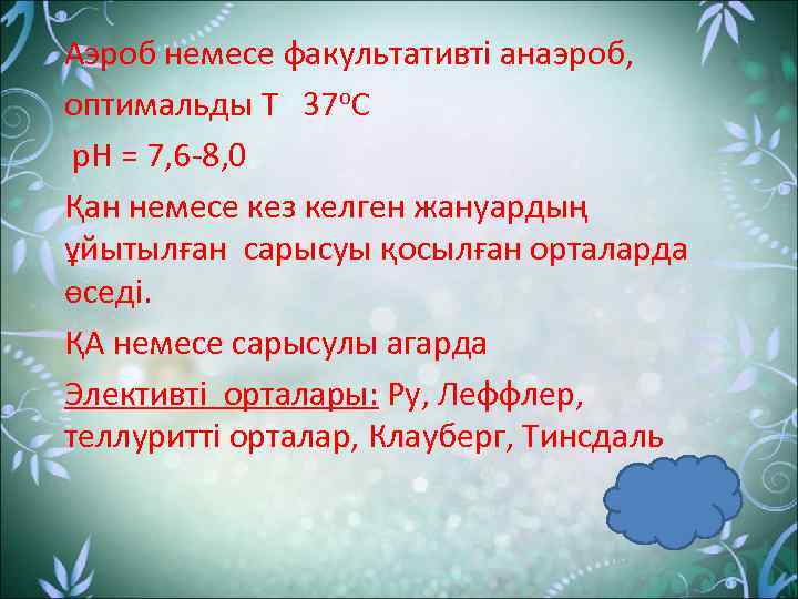 Аэроб немесе факультативті анаэроб, оптимальды Т 37 о. С р. Н = 7, 6
