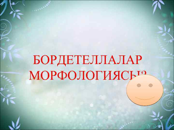 БОРДЕТЕЛЛАЛАР МОРФОЛОГИЯСЫ? 