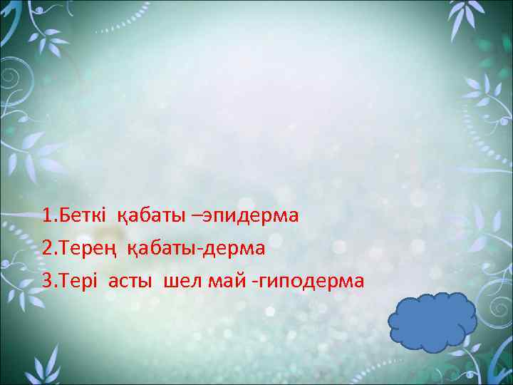 1. Беткі қабаты –эпидерма 2. Терең қабаты-дерма 3. Тері асты шел май -гиподерма 