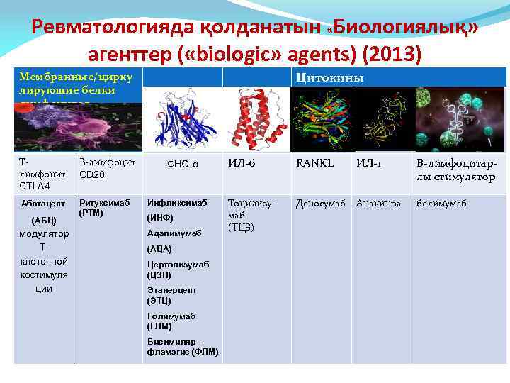 Ревматологияда қолданатын «Биологиялық» агенттер ( «biologic» agents) (2013) Цитокины Мембранные/цирку лирующие белки лимфоцитов Тлимфоцит