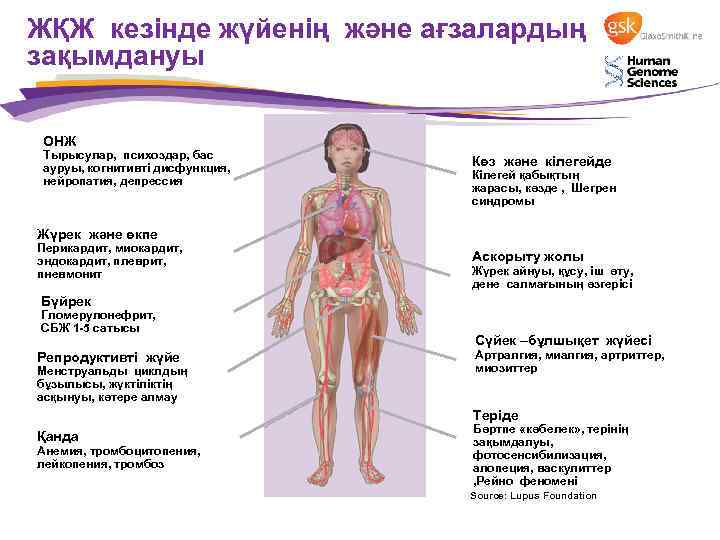 ЖҚЖ кезінде жүйенің және ағзалардың зақымдануы ОНЖ Тырысулар, психоздар, бас ауруы, когнитивті дисфункция, нейропатия,