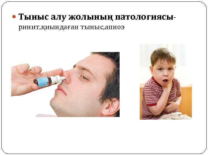  Тыныс алу жолының патологиясыринит, қиындаған тыныс, апноэ 