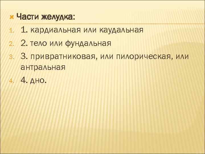  Части 1. 2. 3. 4. желудка: 1. кардиальная или каудальная 2. тело или