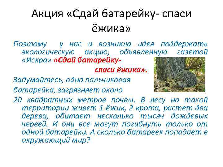 Акция «Сдай батарейку- спаси ёжика» Поэтому у нас и возникла идея поддержать экологическую акцию,