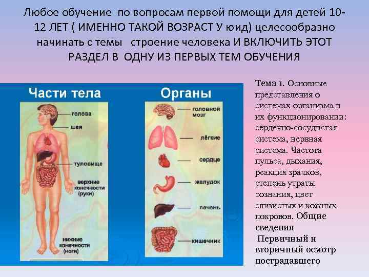 Любое обучение по вопросам первой помощи для детей 1012 ЛЕТ ( ИМЕННО ТАКОЙ ВОЗРАСТ