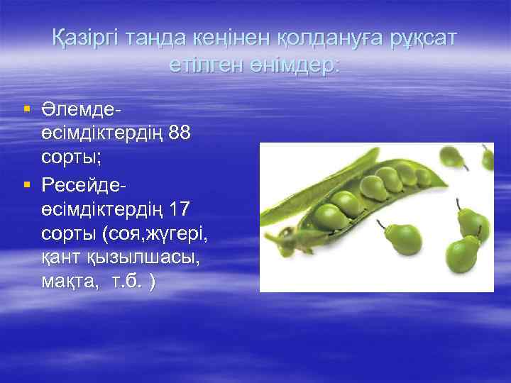 Қазіргі таңда кеңінен қолдануға рұқсат етілген өнімдер: § Әлемдеөсімдіктердің 88 сорты; § Ресейдеөсімдіктердің 17