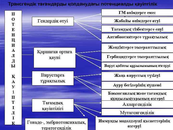 Трансгендік тағамдарды қолданудағы потенциалды қауіптілік П О Т Е Н Ц И А Л