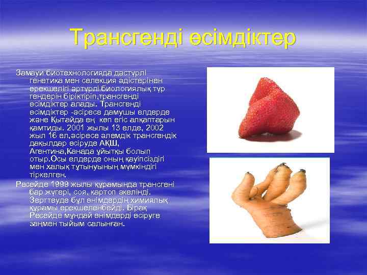 Трансгенді өсімдіктер Замауи биотехнологияда дәстүрлі генетика мен селекция әдістерінен ерекшелігі әртүрлі биологиялық түр гендерін