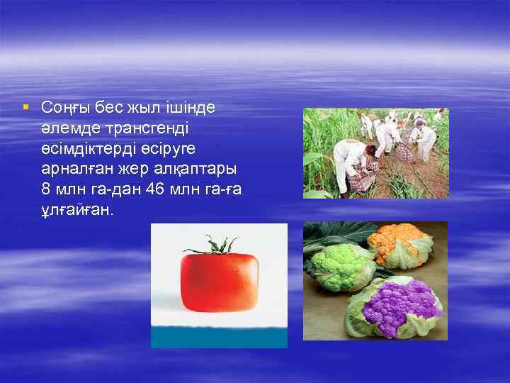 § Соңғы бес жыл ішінде әлемде трансгенді өсімдіктерді өсіруге арналған жер алқаптары 8 млн