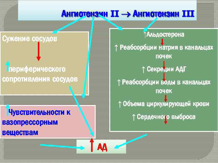 Ангиотензин II Ангиотензин III ↑Альдостерона Сужение сосудов ↑ Реабсорбции натрия в канальцах почек периферического