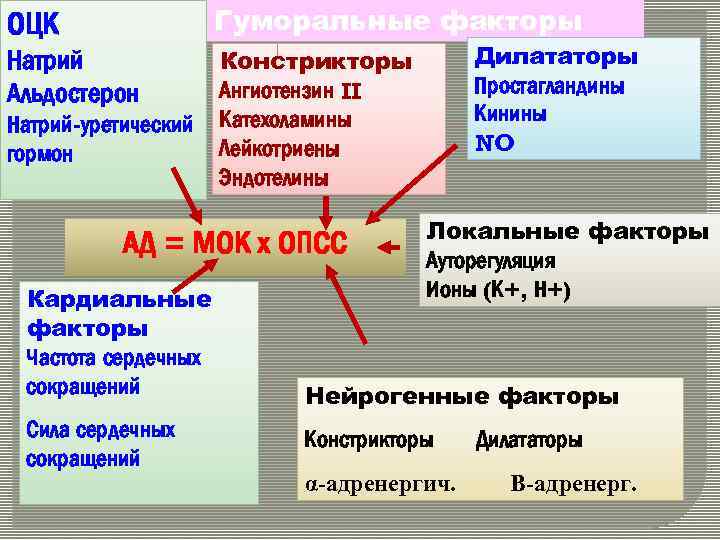 ОЦК Гуморальные факторы Натрий Альдостерон Констрикторы Ангиотензин II Катехоламины Лейкотриены Эндотелины Натрий-уретический гормон АД