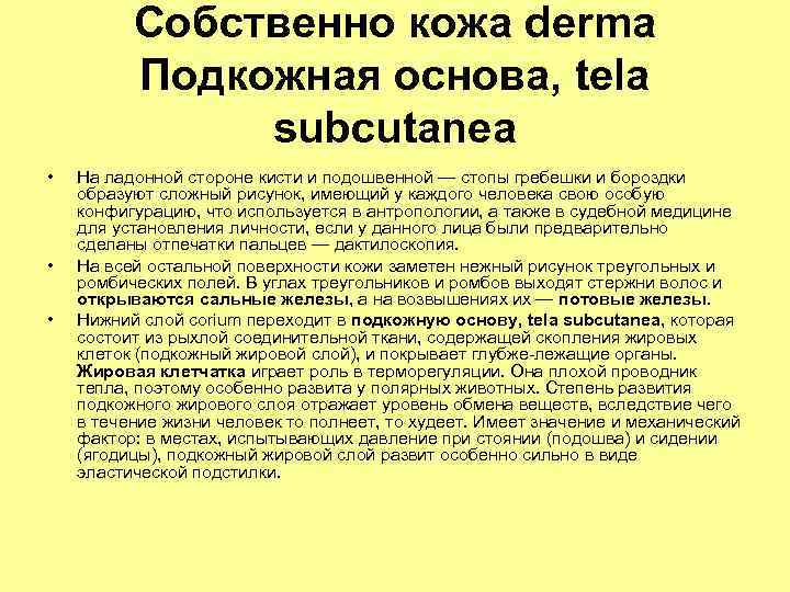 Собственно кожа derma Подкожная основа, tela subcutanea • • • На ладонной стороне кисти