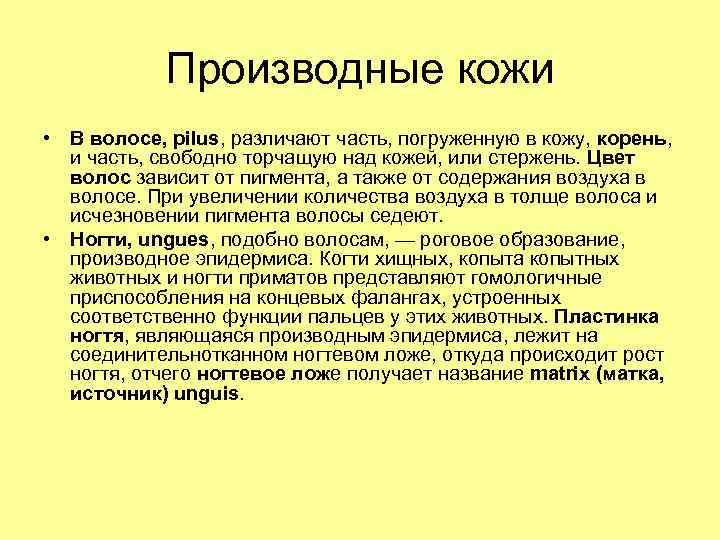 Производные кожи • В волосе, pilus, различают часть, погруженную в кожу, корень, и часть,