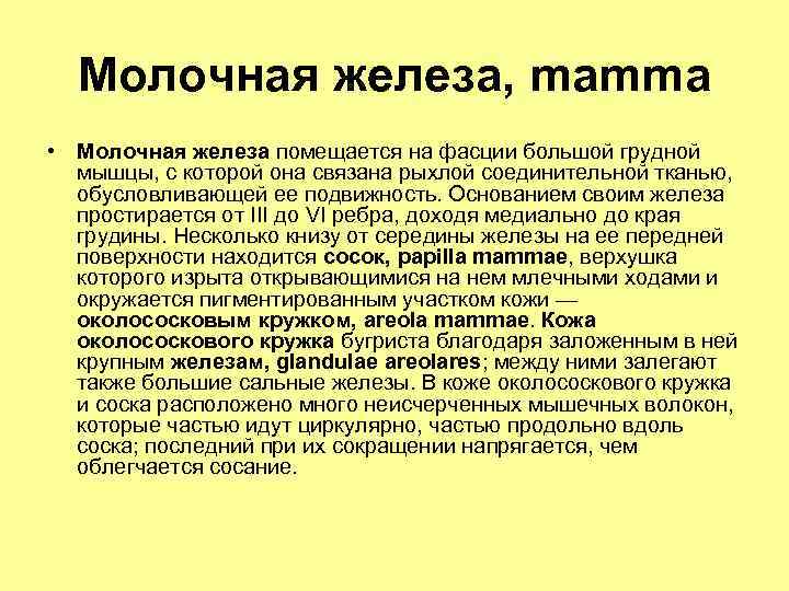 Молочная железа, mamma • Молочная железа помещается на фасции большой грудной мышцы, с которой