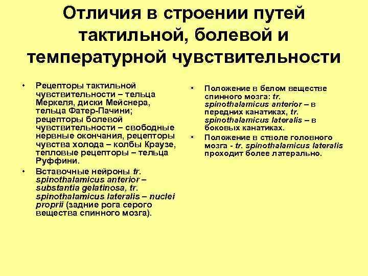 Отличия в строении путей тактильной, болевой и температурной чувствительности • • Рецепторы тактильной чувствительности