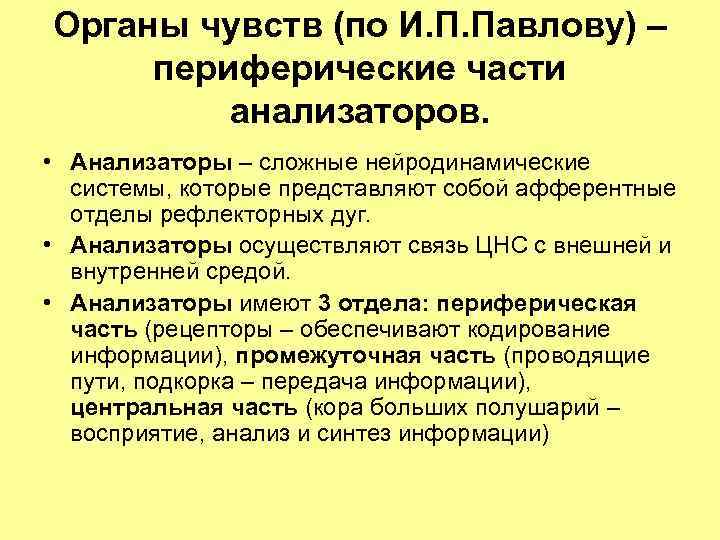 Органы чувств (по И. П. Павлову) – периферические части анализаторов. • Анализаторы – сложные