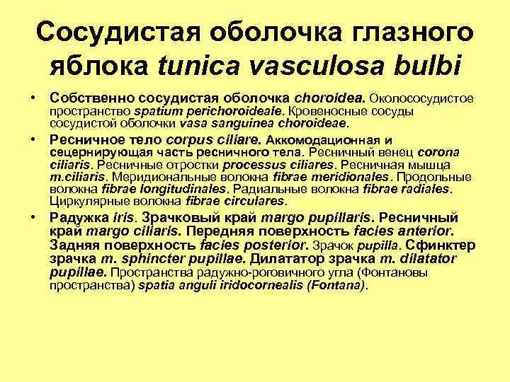 Сосудистая оболочка глазного яблока tunica vasculosa bulbi • Собственно сосудистая оболочка choroidea. Околососудистое •