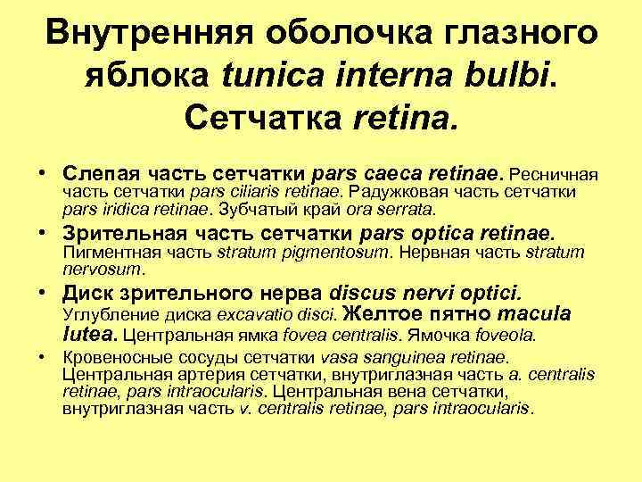 Внутренняя оболочка глазного яблока tunica interna bulbi. Сетчатка retina. • Слепая часть сетчатки pars