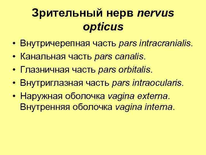 Зрительный нерв nervus opticus • • • Внутричерепная часть pars intracranialis. Канальная часть pars