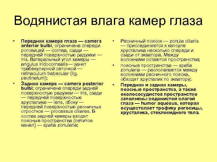 Водянистая влага камер глаза • • Передняя камера глаза — camera anterior bulbi, ограничена